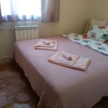 Apartman Nina Vojvode Stepe Vozdovac Voždivac Exterior foto